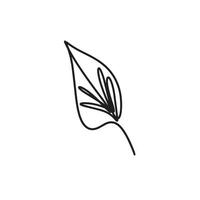 leaf line art, contour drawing. Minimalism art vector