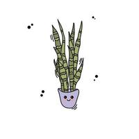 Cute sansevieria in pot. Houseplant in pot vector