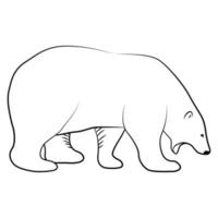 Polar Bear in Outline Sketch.