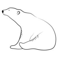 Polar Bear in Outline Sketch. vector