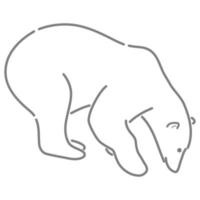 Polar Bear in Outline Sketch. vector