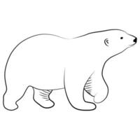 Polar Bear in Outline Sketch. vector