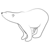 Polar Bear in Outline Sketch. vector