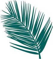 palm branch isolated hand drawn vector illustration. Green tropical branch silhouette outline leaves vacation travel