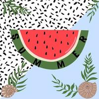 summer background with a piece of watermelon palm branches shell and abstract texture spots in the background vector