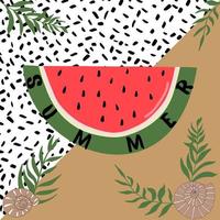 summer background with a piece of watermelon palm branches shell and abstract texture spots in the background vector