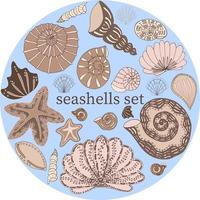 Vector set of seashells isolated in different sizes