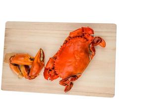 Top view of Scylla serrata. One steamed crab on wood cutting board isolated on white background with copy space. Seafood restaurants concept. photo