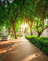 camino en el parque al lado de la carretera en la ciudad. árbol verde en el jardín por la mañana. zona de aparcamiento de coches de alquiler en singapur. un hombre caminando por el camino. actividad urbana al aire libre. luz del sol de verano. ciudad verde. foto