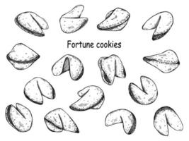 Juego de galletas de la fortuna china vector dibujado a mano. ilustración de comida galleta crujiente con un papel en blanco dentro. para impresión, web, diseño, decoración, logotipo.