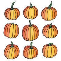 Vector hand drawn set of pumpkin illustration. Vegetable harvest clipart. Farm market product. Elements for autumn design, decoration.