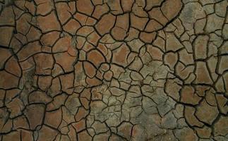 Climate change and drought land. Water crisis. Arid climate. Crack soil. Nature disaster. Dry soil texture background. Dry, cracked skin, and eczema concept. Global warming cause of polar vortex. photo