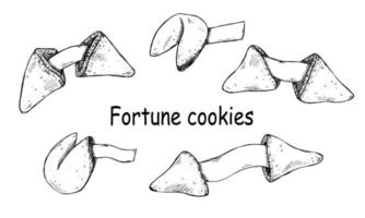 Vector set of hand drawn chinese fortune cookies. Food illustration. Crisp cookie with a blank piece of paper inside. For print, web, design, decor, logo.