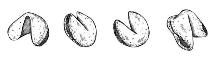 conjunto vectorial de galletas de la fortuna chinas dibujadas a mano. ilustración de comida galleta crujiente con un papel en blanco dentro. para impresión, web, diseño, decoración, logotipo. vector