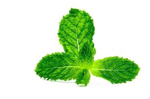 Kitchen mint leaf isolated on white background. Green peppermint natural source of menthol oil. Thai herb for food garnish. Herb for anti-flatulence and make confident fresh breath. photo