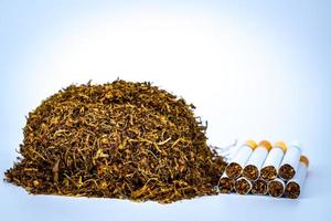 Pile of cigarettes and tobacco on white background with space. Quit smoking or smoking cessation and lung cancer concept. 31 May World no tobacco day. photo