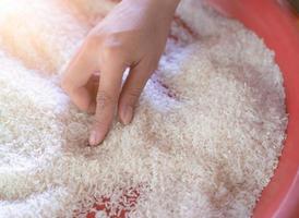 Thai jasmine rice. The hands of an Asian woman are picking up foreign matter from the uncooked milled rice in a red plastic tray before cooking. Raw dry jasmine rice. Uncooked milled white rice. photo