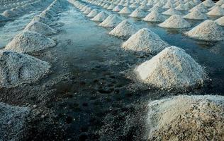 Sea salt farm at Samut Sakhon, Thailand. Organic sea salt. Evaporation and crystallization of sea water. Raw material of salt industrial. Sodium Chloride. Solar evaporation system. Iodine source. photo