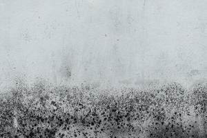 Black and white old concrete wall texture background. Background for dead, sad, hopeless, lament, grief, and despair cpncept. Dirty white cement wall with black dot pattern of mold plaque. photo