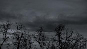 Silhouette dead tree on dark dramatic sky and gray clouds. Dark sky and dead tree background for Halloween day. Dead tree branches with stormy sky. Leafless tree. Background for sad and lonely moment. photo