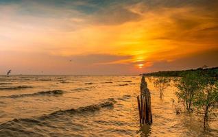 Beautiful sunset sky and clouds over the sea. Bird flying near abundance mangrove forest. Mangrove ecosystem. Good environment. Landscape of seashore or coast. Scenic sunset sky in Thailand. photo