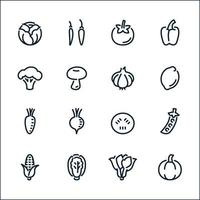 Vegetables icons with White Background vector