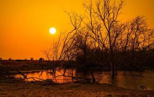 Dead trees in lake and orange sunset sky background. Climate change and drought land. Water crisis. Arid climate. Environment problem. Nature disaster. Nature lanscape. Water crisis of the earth. photo