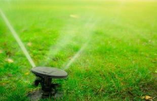 Automatic lawn sprinkler watering green grass. Garden, yard irrigation system watering lawn. Water saving or conservation from sprinkler system. Turf farm business. Sprinkler service and maintenance. photo
