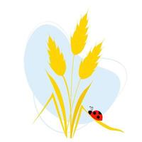 Bouquet of spikelets of wheat with ladybug on leaf. Vector illustration