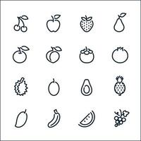 Fruits icons with White Background vector