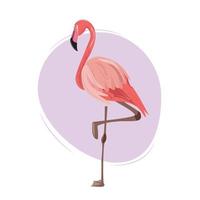 Beautiful pink flamingo bird standing on one leg. Pink flamingo on purple abstract packground. vector