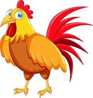 A chicken cartoon character vector