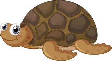 Cute turtle cartoon character on white background vector