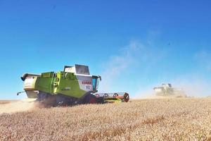 TERNOPIL - JULY 20 A few combines cutting a swath through the middle of a wheat field during harvest on July 20, 2017, in Ternopil photo