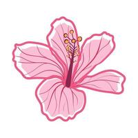 Tropical hibiscus flower Decorative exotic plant vector