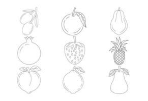 frutas para colorear páginas ilustración vectorial sobre fondo blanco, libro para colorear para niños vector