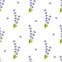 Seamless pattern of lavender twigs of lilac color. Beautiful flowers. Vector background for printing on paper, packaging, textiles, fabric, clothing. For designer decor.