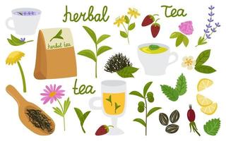 conjunto de elementos de té de hierbas naturales. hojas y ramitas, flores, trébol, rosa mosqueta, fresa, limón, menta, lavanda. tazas con una bebida. colección para el diseño y decoración de productos. vector