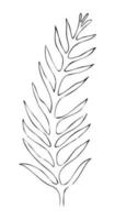 Leaves contour, hand drawn vector drawing