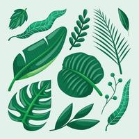 Summer Green Leaf Elements Set Collection vector