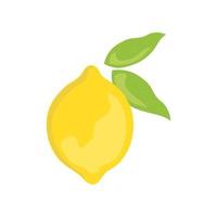 Lemon colored icon on transparent background vector