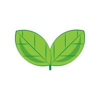 Green leaf icon on transparent background vector