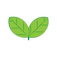 Green leaf icon on transparent background vector