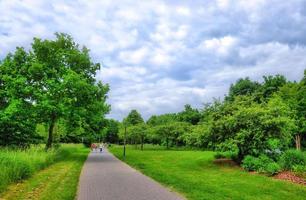 callejón en el parque aueweiher en fulda, hessen, alemania foto