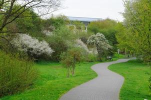 Blooming alley with trees in the park in Fulda, Hessen, Germany photo