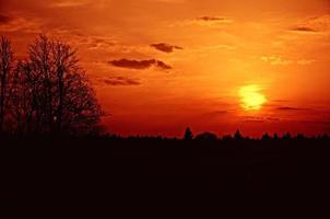 Beautiful red sunset over the forest, Dmitrov, Moscow region, Russia photo