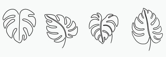 simplicidad hoja de monstera dibujo de línea continua a mano alzada diseño plano. vector