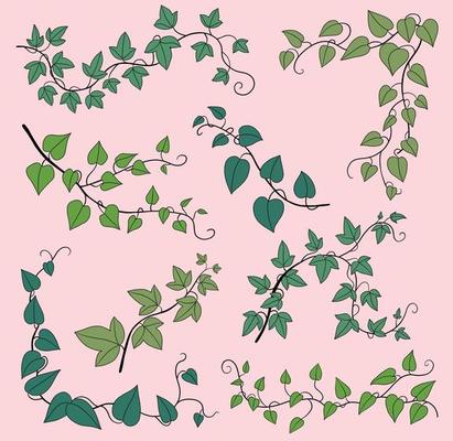 Simplicity ivy freehand drawing flat design collection.