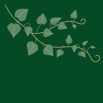 Simplicity ivy freehand drawing flat design.