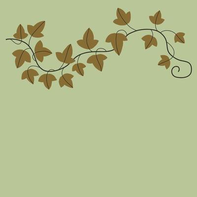 Simplicity ivy freehand drawing flat design.